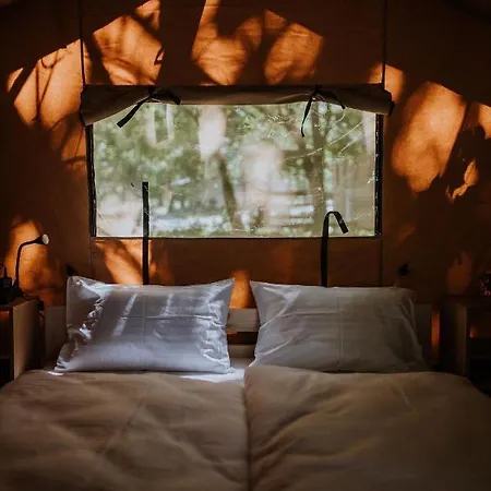 Sioglamping In Siocamping Siofok