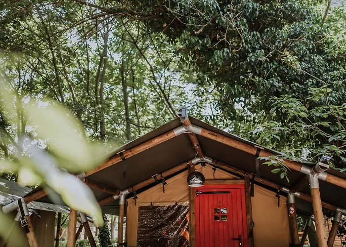 Camping Sioglamping In Siocamping Siófok